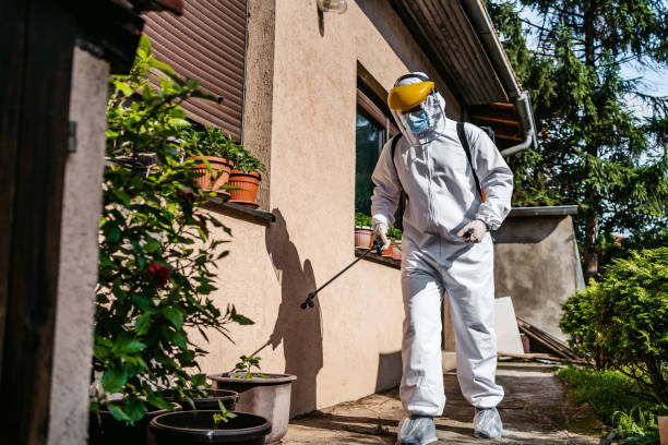 Pest Prevention Services in Georgetown, SC