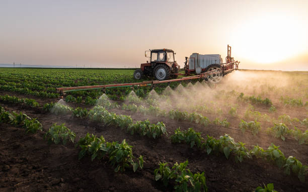 Best Commercial Pest Control Services  in Georgetown, SC
