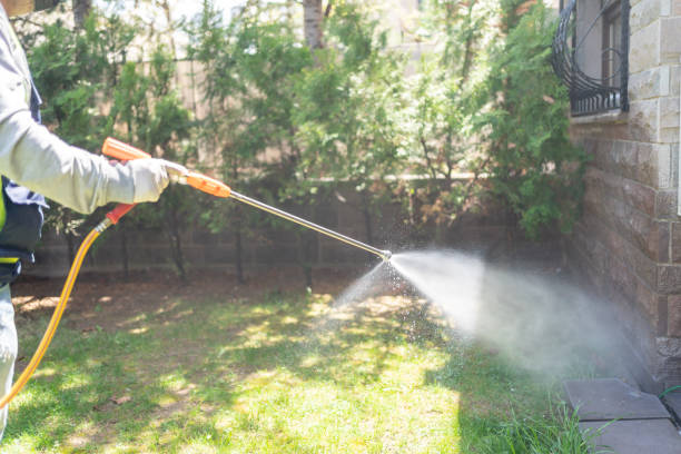 Professional Pest Control in Georgetown, SC